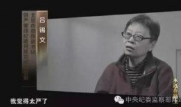 湖北网友爆料新闻视频播放,新闻视频引发热议